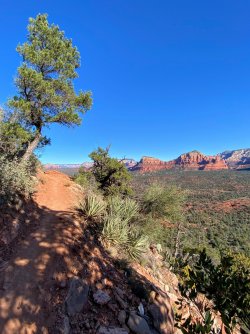 D5AEAC21-110C-4353-B958-A18302B5288A.jpeg D5AEAC21-110C-4353-B958-A18302B5288A.jpeg