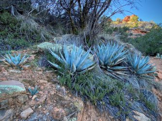 912CCBFA-6C14-497A-BE83-F23B63FE307A.jpeg 912CCBFA-6C14-497A-BE83-F23B63FE307A.jpeg