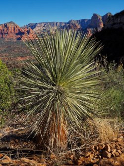 80B6D921-134F-4CD9-8726-A6F731FE4D99.jpeg 80B6D921-134F-4CD9-8726-A6F731FE4D99.jpeg