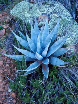 1AEB5B67-9B01-4F01-B2B2-758C7CAE740C.jpeg 1AEB5B67-9B01-4F01-B2B2-758C7CAE740C.jpeg