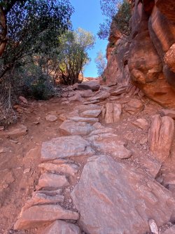 23C704CC-2515-4D53-9A09-E7AC9DAC67F3.jpeg 23C704CC-2515-4D53-9A09-E7AC9DAC67F3.jpeg