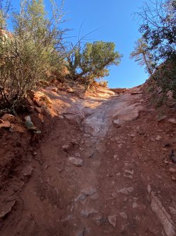 2F8B96D9-3C5C-4AB9-A4DD-3BBA3312FA85.jpeg 2F8B96D9-3C5C-4AB9-A4DD-3BBA3312FA85.jpeg