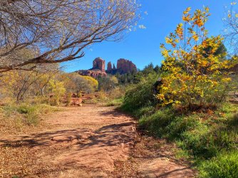 A329839A-952F-469A-944B-57CAB261C48E.jpeg A329839A-952F-469A-944B-57CAB261C48E.jpeg