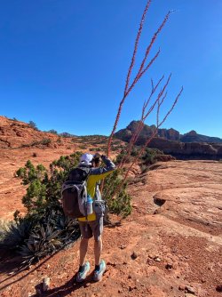 AEDD90C0-28E5-4705-928B-800AF03C1E8E.jpeg AEDD90C0-28E5-4705-928B-800AF03C1E8E.jpeg