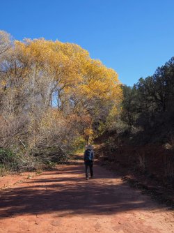 B6A55341-E8DE-47BA-A87D-D8CD74AB7B9C.jpeg B6A55341-E8DE-47BA-A87D-D8CD74AB7B9C.jpeg