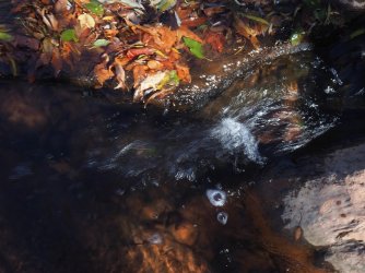 D77EF92A-7459-4DE6-A438-CE484A2192E7.jpeg D77EF92A-7459-4DE6-A438-CE484A2192E7.jpeg