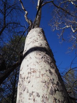 4E23ECE7-2A8F-4F43-AE1F-07F80FC474CB.jpeg 4E23ECE7-2A8F-4F43-AE1F-07F80FC474CB.jpeg