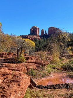 8AA54B1E-0080-4012-95BF-4C059214932B.jpeg 8AA54B1E-0080-4012-95BF-4C059214932B.jpeg