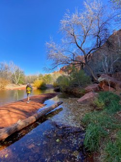 AA301627-6A6F-40C6-B530-161AE2DF56B3.jpeg AA301627-6A6F-40C6-B530-161AE2DF56B3.jpeg