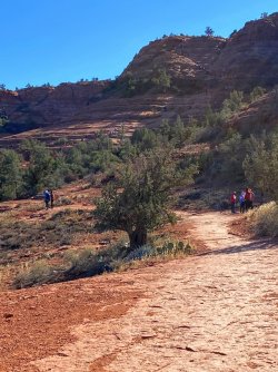 BAB40F3C-E2F5-4EEE-ABA8-396BBB41C6E2.jpeg BAB40F3C-E2F5-4EEE-ABA8-396BBB41C6E2.jpeg