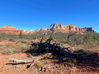 B6980491-150F-41D4-8EF9-B2DFFD4E6723.jpeg B6980491-150F-41D4-8EF9-B2DFFD4E6723.jpeg