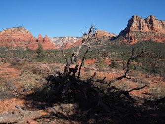 FFBFF57A-4964-4BF5-854F-9A81CAD453D2.jpeg FFBFF57A-4964-4BF5-854F-9A81CAD453D2.jpeg