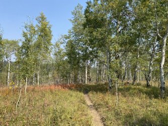 1B0C1260-395D-47A2-A422-7A0660518C91.jpeg 1B0C1260-395D-47A2-A422-7A0660518C91.jpeg