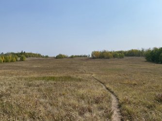 87BF0DB6-C967-41CE-B14C-F1ACEA627E7D.jpeg 87BF0DB6-C967-41CE-B14C-F1ACEA627E7D.jpeg