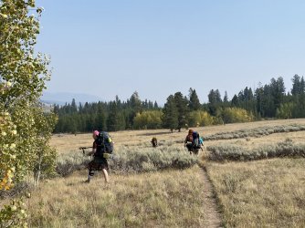 65D15992-0A7D-4AD6-99DD-CA7AFD6443E8.jpeg 65D15992-0A7D-4AD6-99DD-CA7AFD6443E8.jpeg