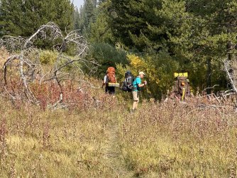 D8E4981F-DA53-4973-A65A-9EF9C9CEF7D8.jpeg D8E4981F-DA53-4973-A65A-9EF9C9CEF7D8.jpeg