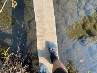 831D5E3B-F0C3-490D-9D48-204AF7206997.jpeg 831D5E3B-F0C3-490D-9D48-204AF7206997.jpeg