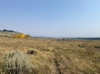 B0A9C205-B53F-4072-BDD9-B3BF58902624.jpeg B0A9C205-B53F-4072-BDD9-B3BF58902624.jpeg