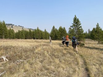 D238D82B-53A1-44C5-A482-444D7E58C6AB.jpeg D238D82B-53A1-44C5-A482-444D7E58C6AB.jpeg