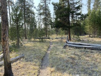 B211A904-5DA0-4A0B-A913-518650D7CD29.jpeg B211A904-5DA0-4A0B-A913-518650D7CD29.jpeg