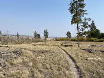 8E29DBC4-3A24-454B-BBBE-EFC953891CA0.jpeg 8E29DBC4-3A24-454B-BBBE-EFC953891CA0.jpeg