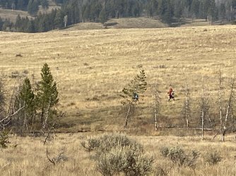 9BF2B0E4-7706-48A8-9E34-72B772FA3ADA.jpeg 9BF2B0E4-7706-48A8-9E34-72B772FA3ADA.jpeg