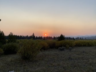 F29306C2-3029-4F9B-AC2A-41129B7A8533.jpeg F29306C2-3029-4F9B-AC2A-41129B7A8533.jpeg