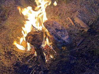 AA0E1C28-6845-4FA5-9D70-C4CB7C658BC9.jpeg AA0E1C28-6845-4FA5-9D70-C4CB7C658BC9.jpeg