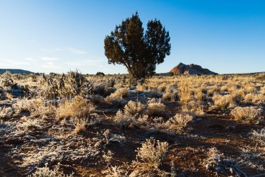 RCM07282-UT Lightning Tour 12-2021-211219-18.jpg