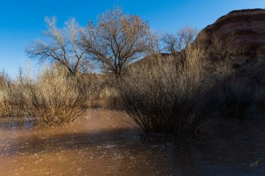 RCM05682-UT Lightning Tour 12-2021-211217-10.jpg