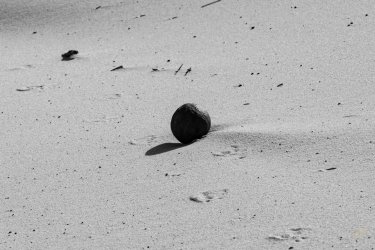 RCM00499- 11-2020-201120-153.jpg