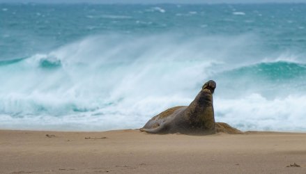 DSC02812-Edit.jpg DSC02812-Edit.jpg