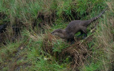 DSC02876.jpg DSC02876.jpg