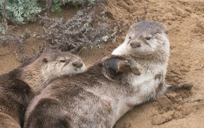 DSC03014-Edit.jpg DSC03014-Edit.jpg