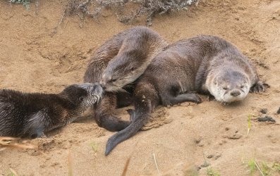 DSC03044-Edit.jpg DSC03044-Edit.jpg