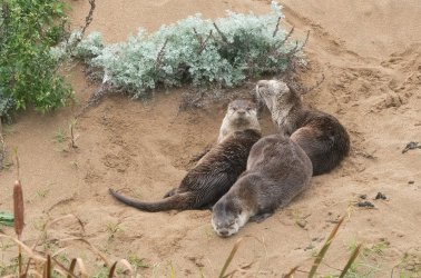 DSC03074-Edit.jpg DSC03074-Edit.jpg