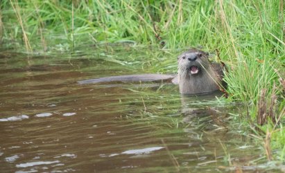 DSC03138.jpg DSC03138.jpg