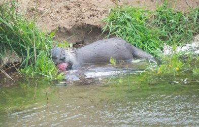 DSC03239.jpg DSC03239.jpg