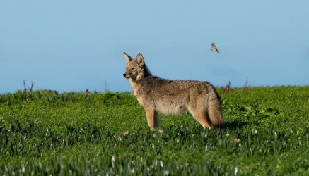 DSC03292-Edit.jpg DSC03292-Edit.jpg