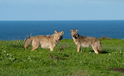 DSC03367-Edit.jpg DSC03367-Edit.jpg