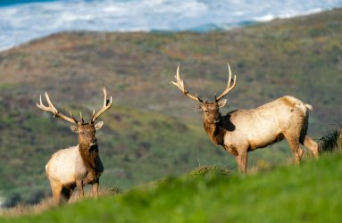 DSC03417-2-Edit.jpg DSC03417-2-Edit.jpg