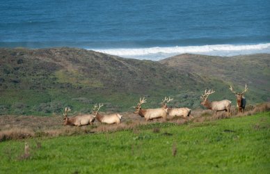 DSC03426-2.jpg DSC03426-2.jpg