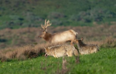 DSC03452-Edit.jpg DSC03452-Edit.jpg