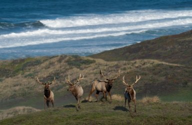 DSC03497-Edit.jpg DSC03497-Edit.jpg