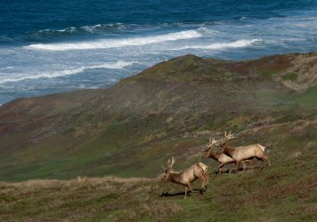 DSC03550-Edit.jpg DSC03550-Edit.jpg