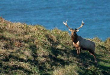 DSC03654-2-Edit.jpg DSC03654-2-Edit.jpg