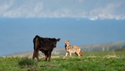 DSC03711-2-Edit.jpg DSC03711-2-Edit.jpg