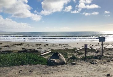 IMG_8570-2.jpg IMG_8570-2.jpg