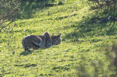 DSC03886-2-Edit-Edit.jpg DSC03886-2-Edit-Edit.jpg