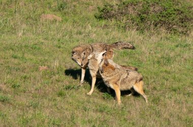 DSC03946-2.jpg DSC03946-2.jpg